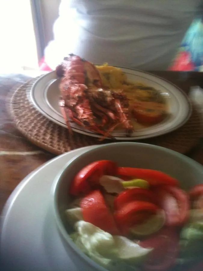 Guest house Villa Rasta Port Antonio