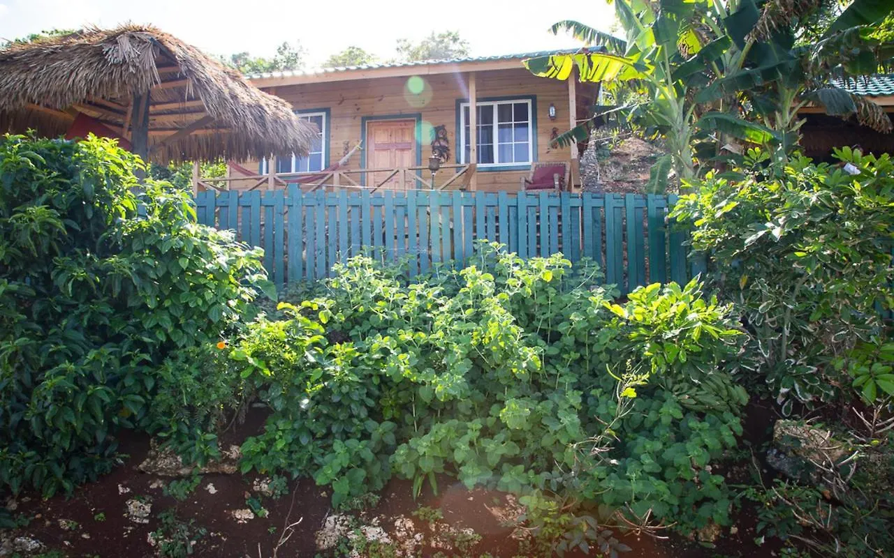 Villa Rasta Port Antonio Guest house