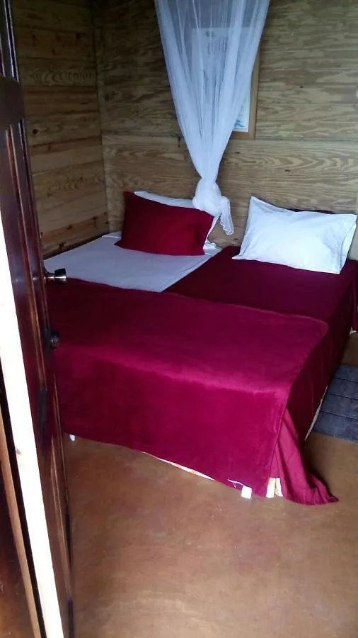 Villa Rasta Port Antonio Guest house