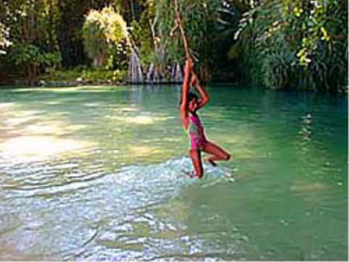 Guest house Villa Rasta Port Antonio