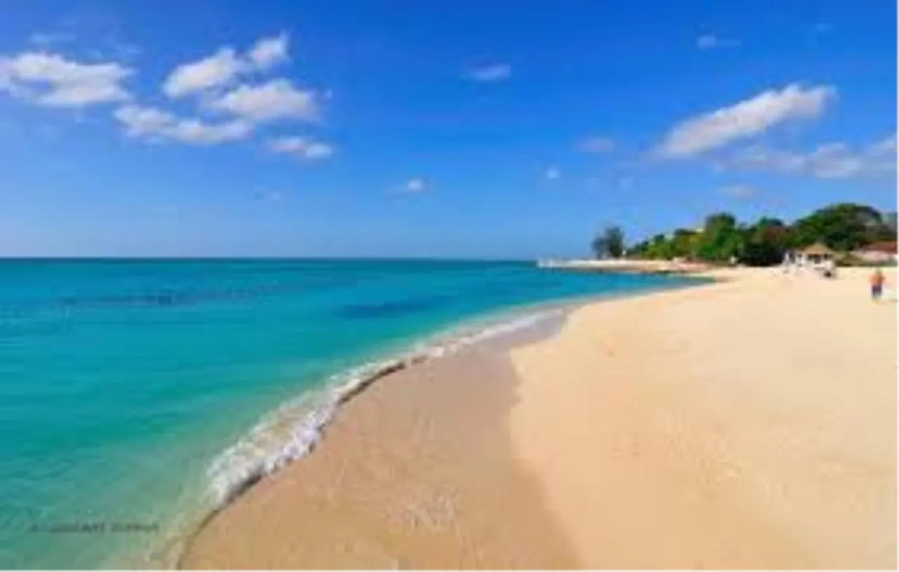 Villa Rasta Port Antonio 0*,